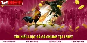 Tìm hiểu luật đá gà online tại nhà cái 12bet